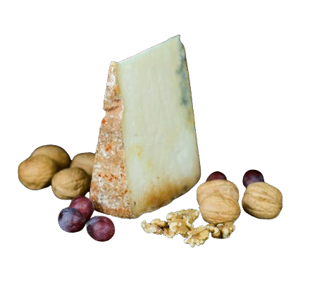 Queso DOP Gamoneu