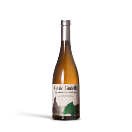 PAGO VICARIO GO DE GODELLO